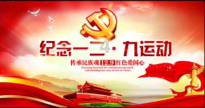 救援袋鼬
